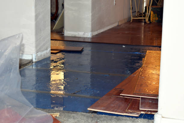 Professional Basement Flood Cleanup technician working in Millersport, OH